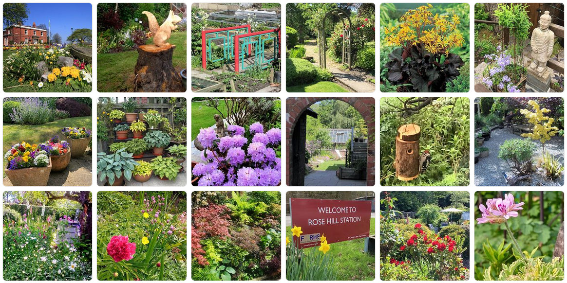 Open Gardens in Marple is back!