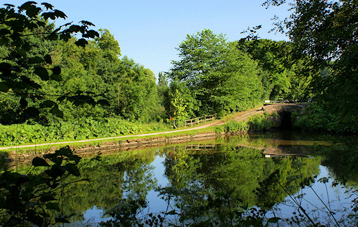 Bottom Lock in the sunshine.