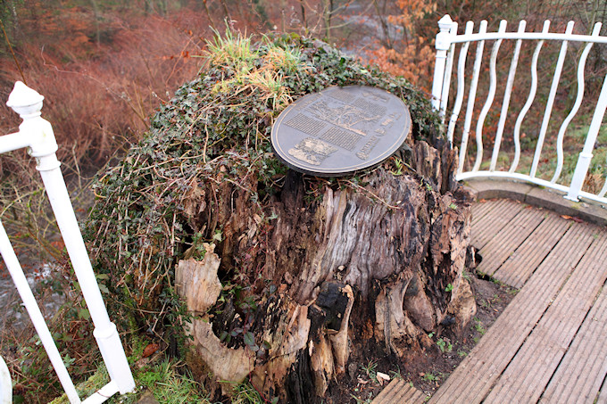 The Tree Stump on Friday 22 February 2019