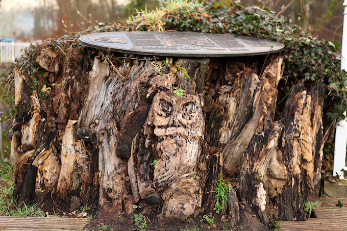 The Tree Stump on Friday 22 February 2019