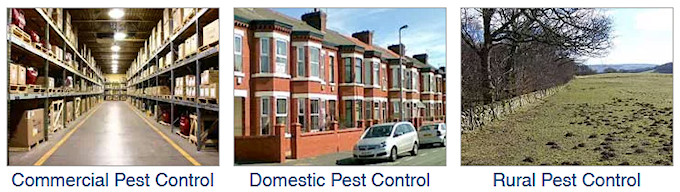Country Solutions Pest Control and Management