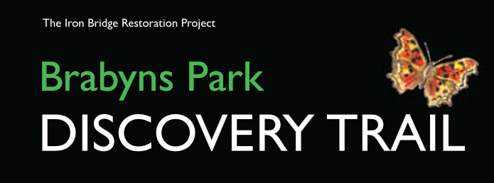 Download the Brabyns Park Discovery Trail