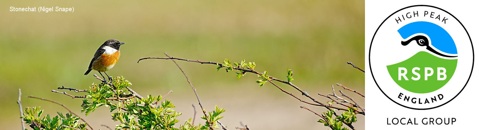 RSPB High Peak Group