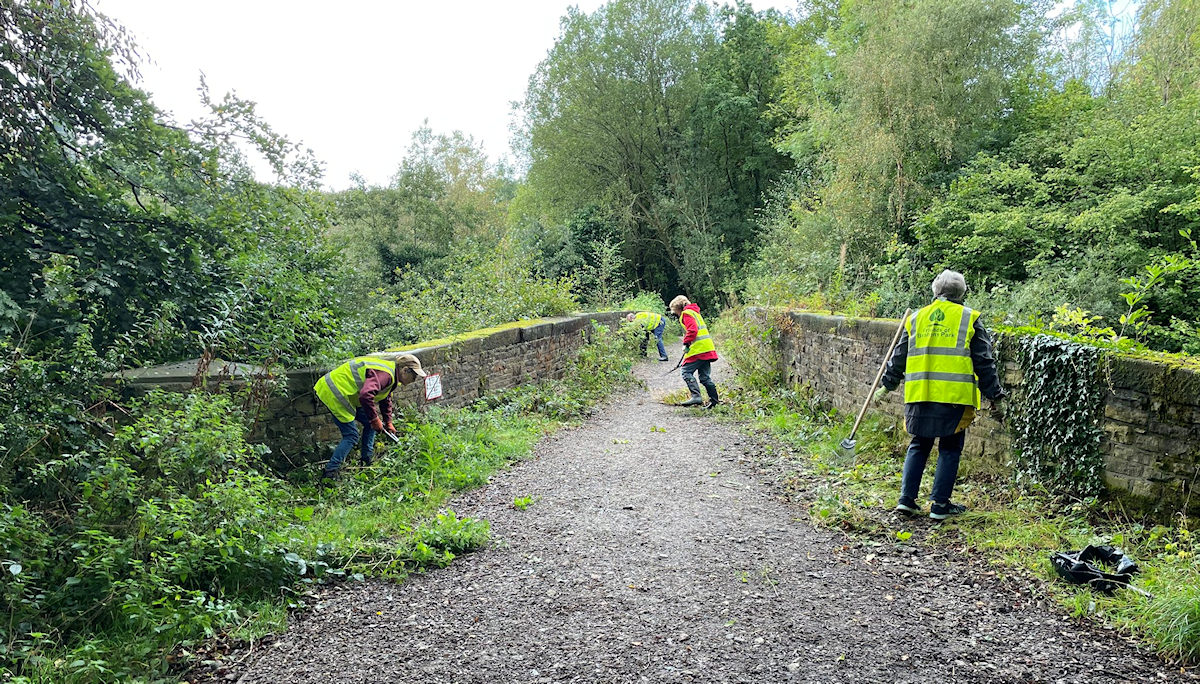 Friends of Brabyns Park