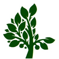 Evergreen Landscaping Ltd