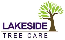 Lakeside Tree Care