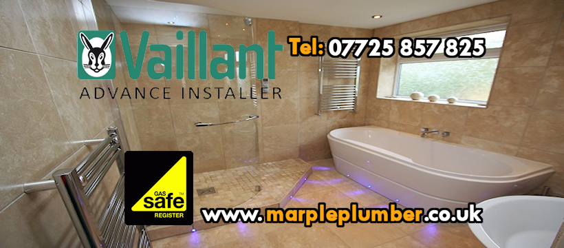 The Marple Plumber: Vaillant Advance Installer