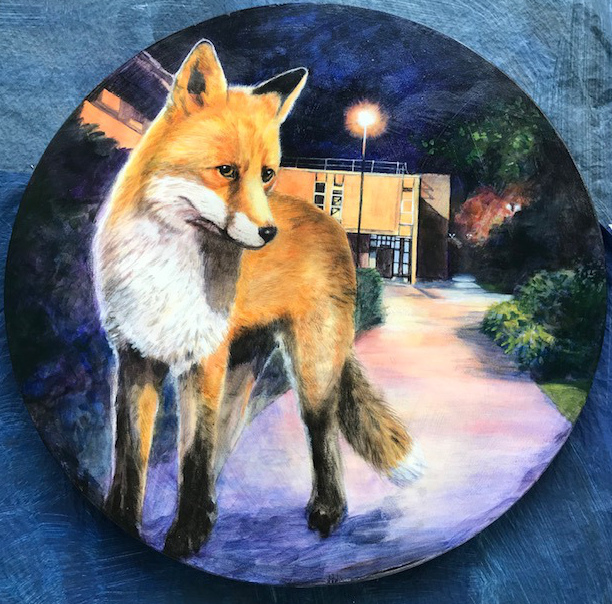 Fox in Memorial Park