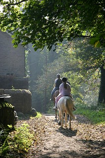 Horse riding at Roman Lakes