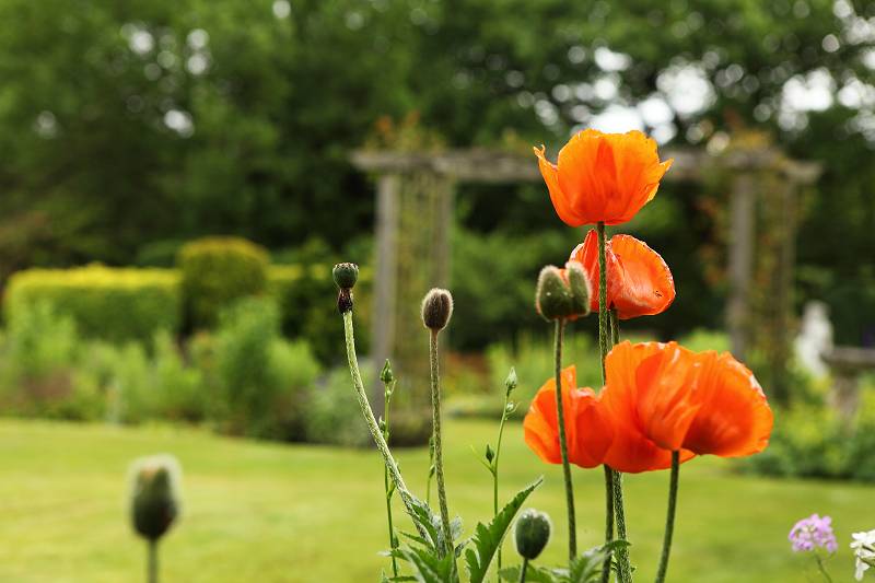 Mellor Open Gardens