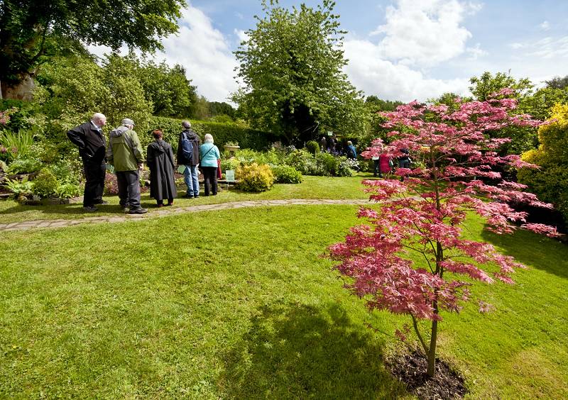 Mellor Open Gardens