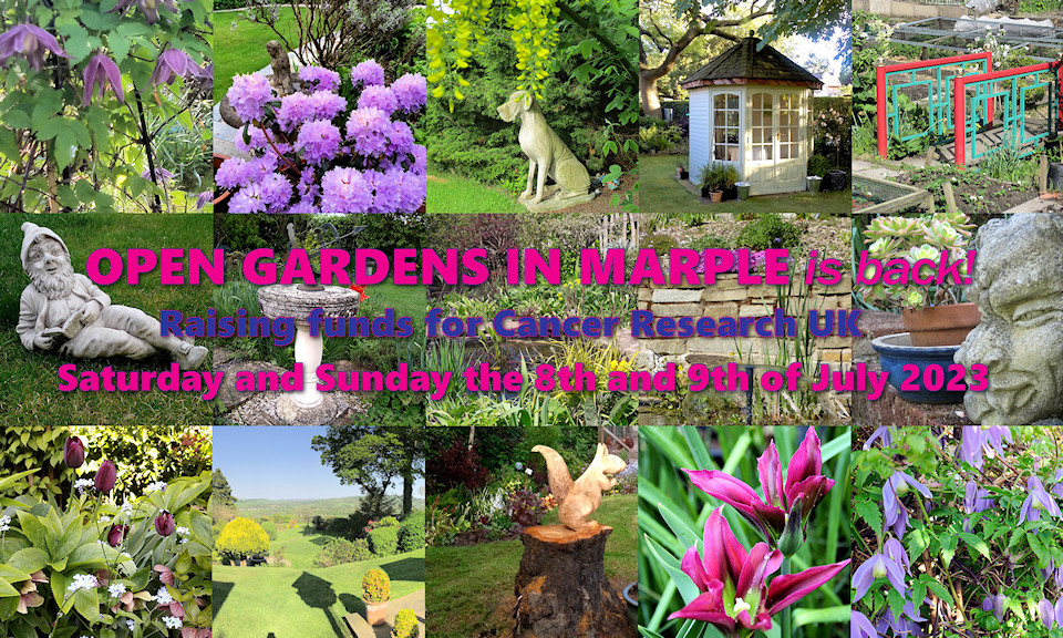 Open Gardens in Marple 2023