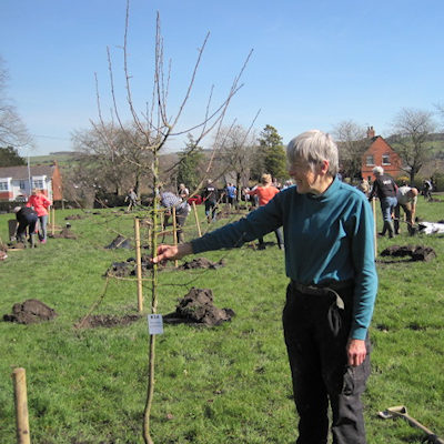 community orchard