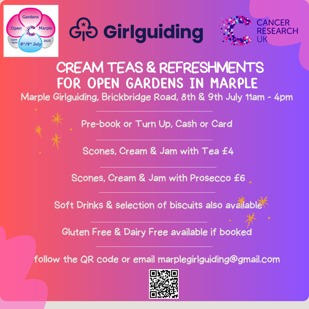 girlguiding poster