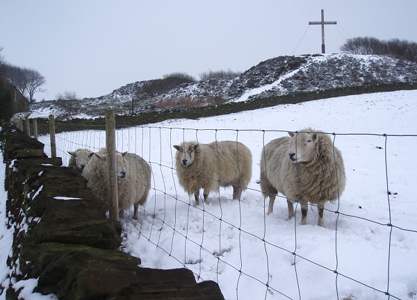 January - Mellor Cross - S. Clarke