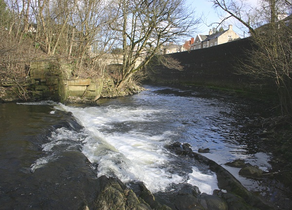 February - Marple Bridge - M. Whittaker