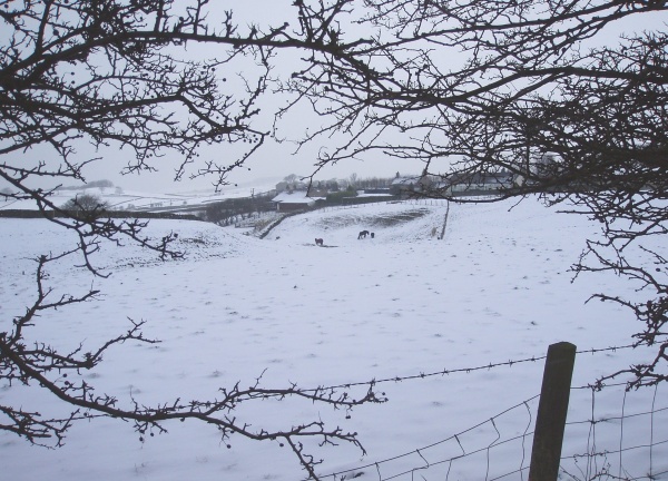 February - Mellor Snow - P Clarke