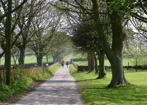 April - Drive to Mellor Hall - P. Clarke