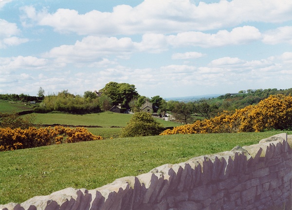 May - Mellor Gorse - P.Clarke