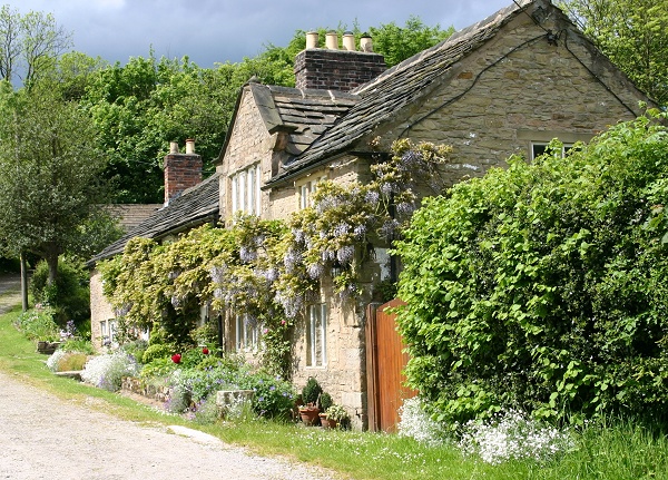 June - Peeres Cottage - P. Clarke