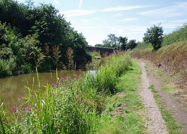 August - Canal at Hawk Green - S. Clarke