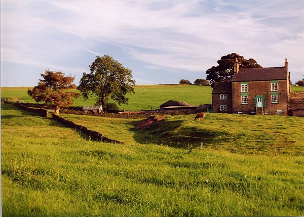 October - Longshaw Clough - M.Whittaker