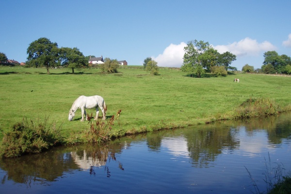 Hilltop Farm, from Peak Forest Canal