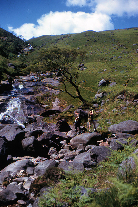 WH1961-008 Glen Rosa