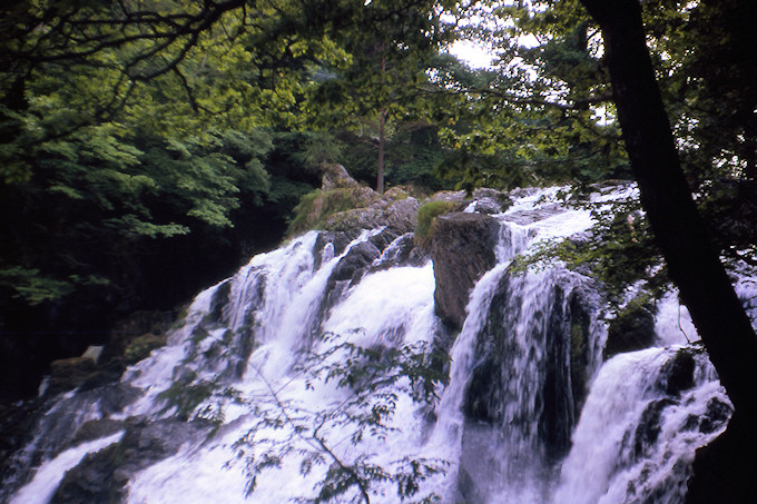 WH1962-001 Swallow Falls a day earlier