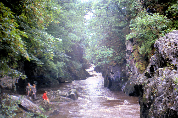 WH1962-003 ? Fairy Glen