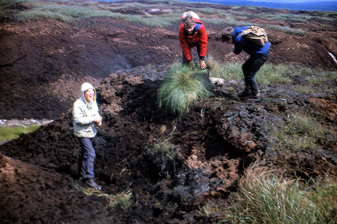 WW1964008 Peat, groughs and fun