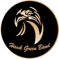 HAWK GREEN BAND LOGO