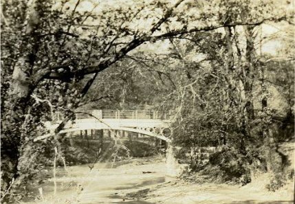 Brabyns Iron Bridge