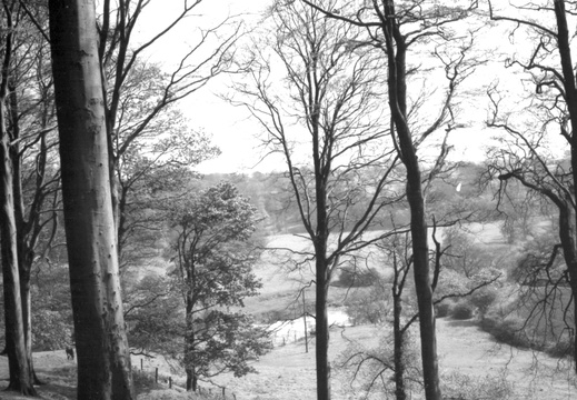 10 View from the rear of Marple Hall