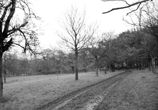 05 Marple Hall drive
