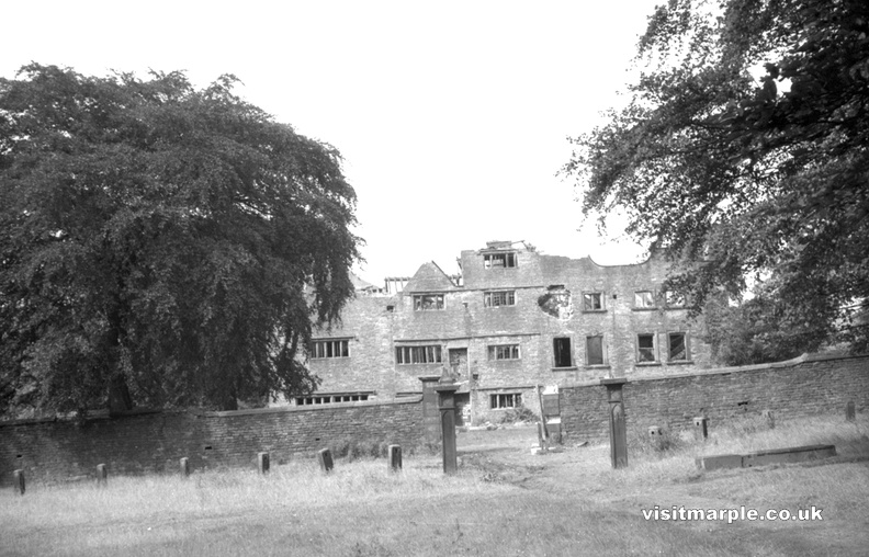 pic52.jpg
