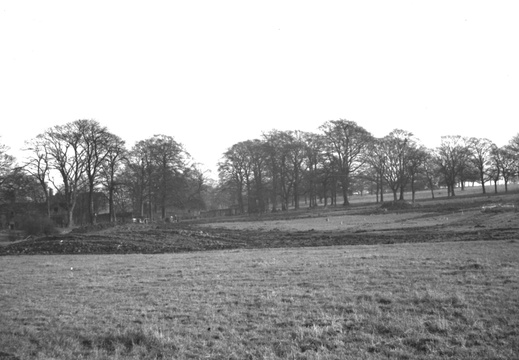 38 Marple Hall School