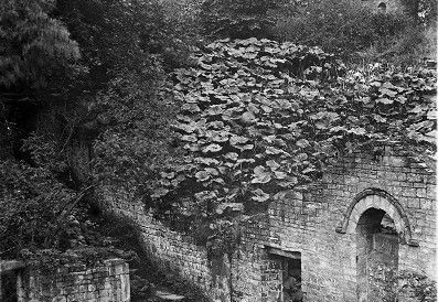 Mellor Mill in Ruins