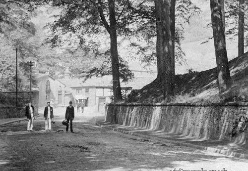 Brabyns Brow