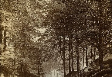 Brabyns Brow