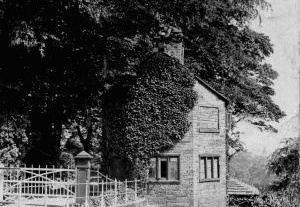 Brabyns Lodge