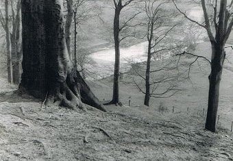 Chadkirk Estate