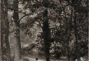 Marple Dale