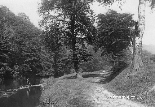 Marple Dale