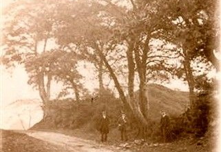 Marple Dale
