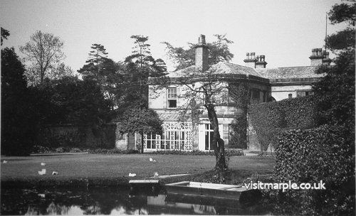 Image29.jpg