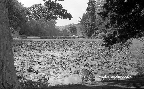 15a-16_Brabyns_Lily_Pond_1978.jpg