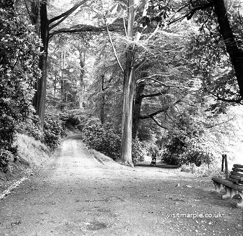 brabyns-park-26-06-1958.jpg