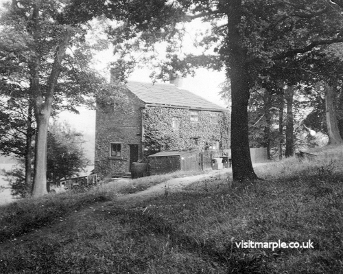 brabyns-wood-cottage.jpg