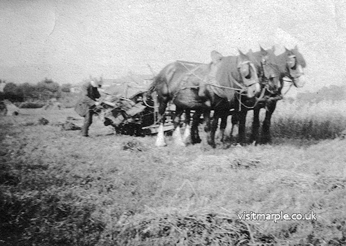 charles-cooke-ploughing.jpg